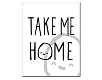 Take me Home